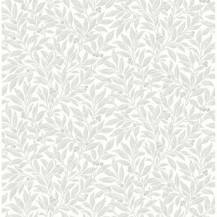 Winter Berry Light Grey Vine Wallpaper - York Wallcoverings - 4164-M1843 - York Wallcoverings Wallpaper