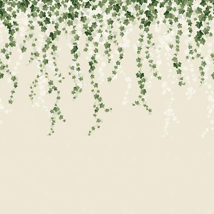 Trailing Ivy Green Wall Mural - York Wallcoverings - 4164-50942