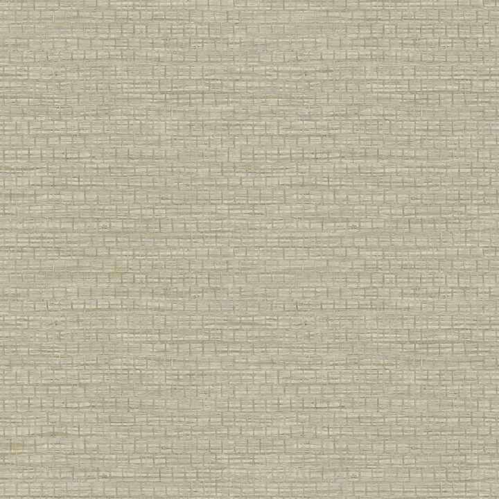 Plaited Grass Sage Wallpaper - York Wallcoverings - 4142-72653 - York Wallcoverings Wallpaper