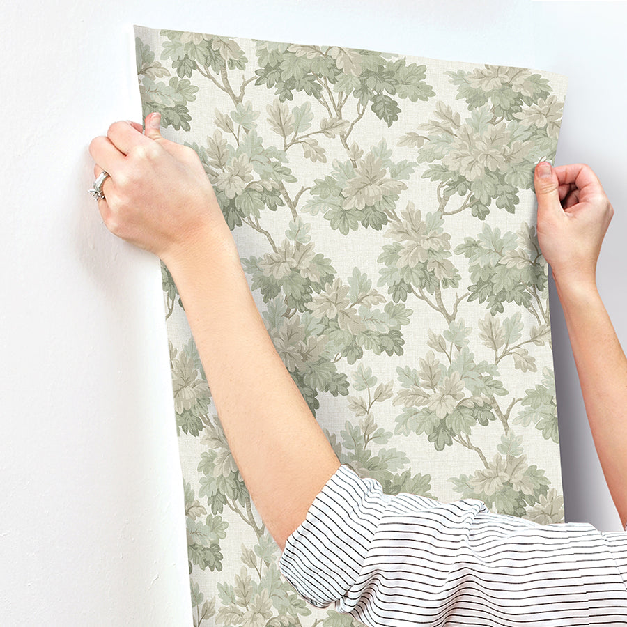 oakcliff-sage-leaf-trail-wallpaper-york-wallcoverings-ast6355