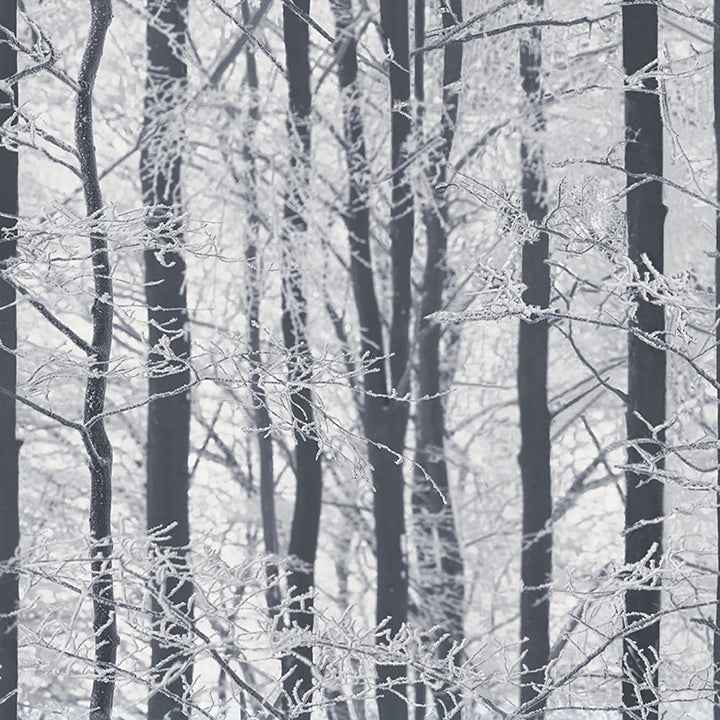 Frosted Silver Winter Grove Wallpaper - York Wallcoverings - AH670200