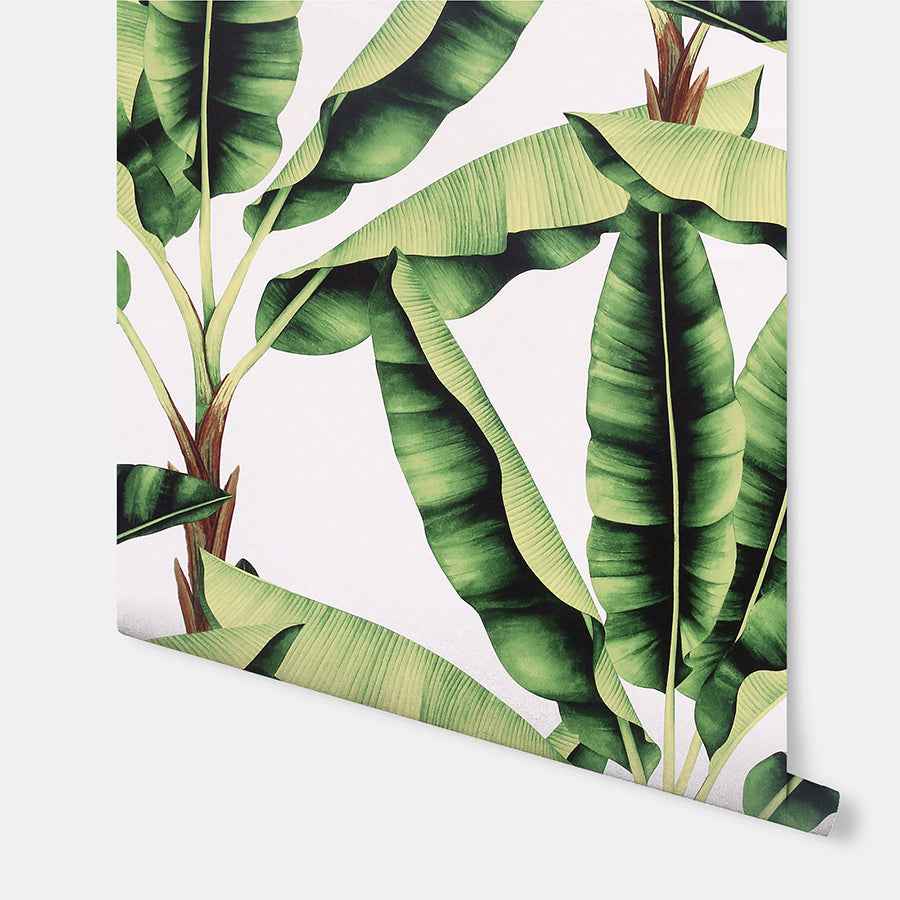 Musa Green Palm Tree Wallpaper - York Wallcoverings - AH909604 - York Wallcoverings Wallpaper