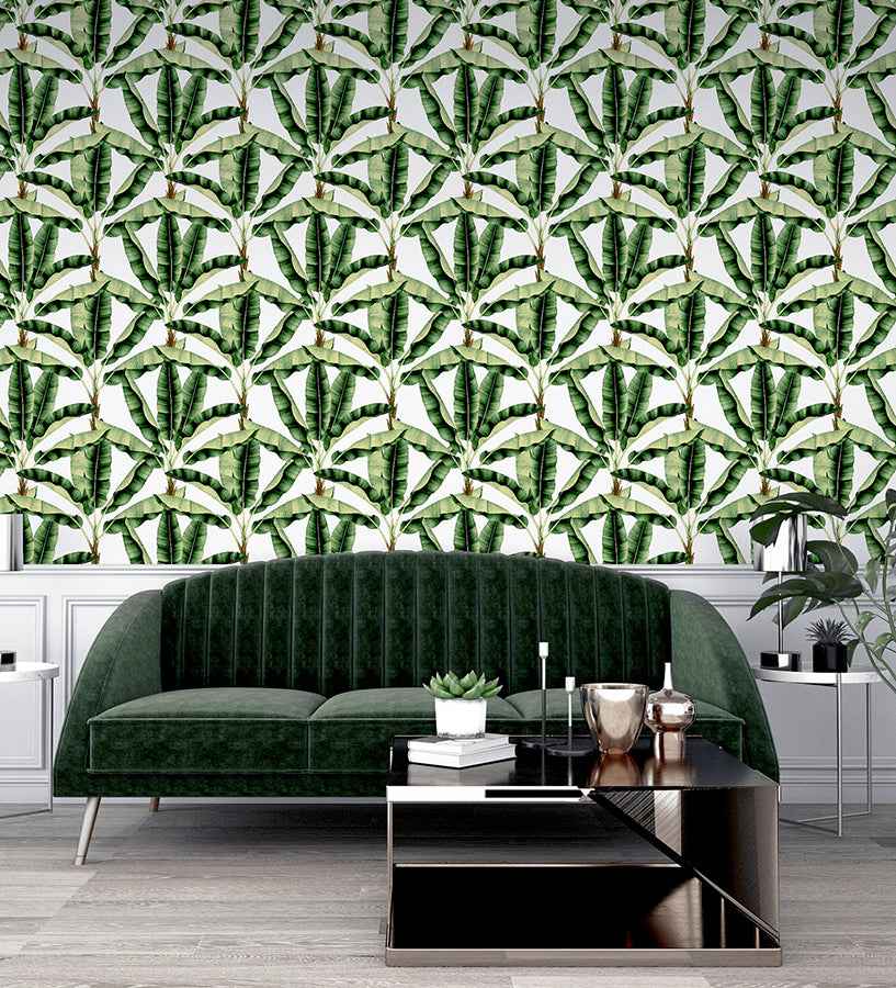 Musa Green Palm Tree Wallpaper - York Wallcoverings - AH909604 - York Wallcoverings Wallpaper