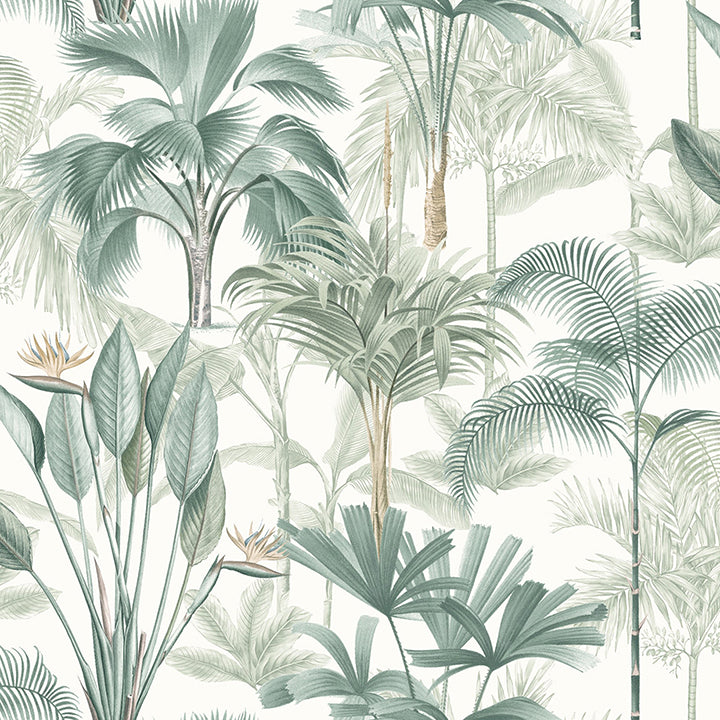 Freda Green Palm Trees Wallpaper - York Wallcoverings - AH922908 - York Wallcoverings Wallpaper