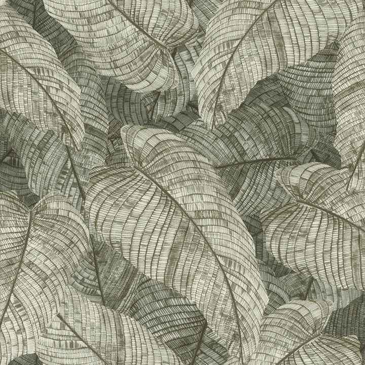 Galner Moss Leaves Wallpaper - York Wallcoverings - RH720549