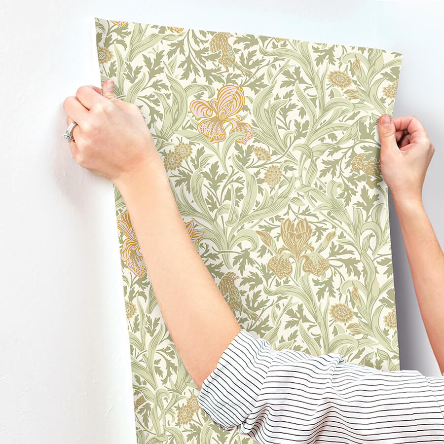 iris-light-green-wild-gardens-wallpaper-york-wallcoverings-4171-82049 - York Wallcoverings Wallpaper