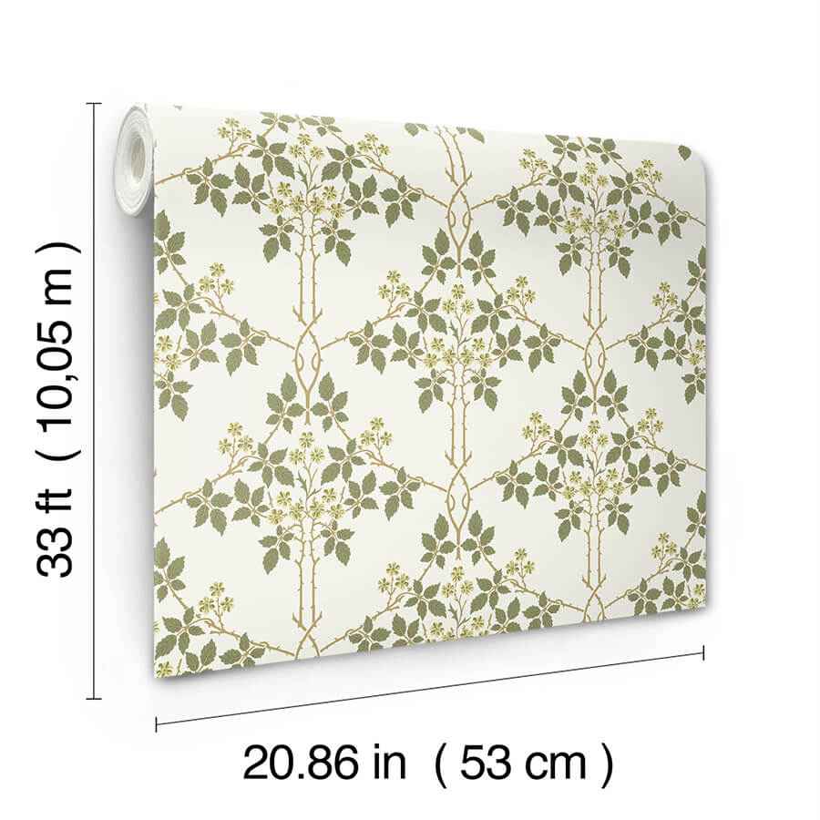 Blackberry Chartreuse Vine Trellis Wallpaper - York Wallcoverings - 4171-82053 - York Wallcoverings Wallpaper