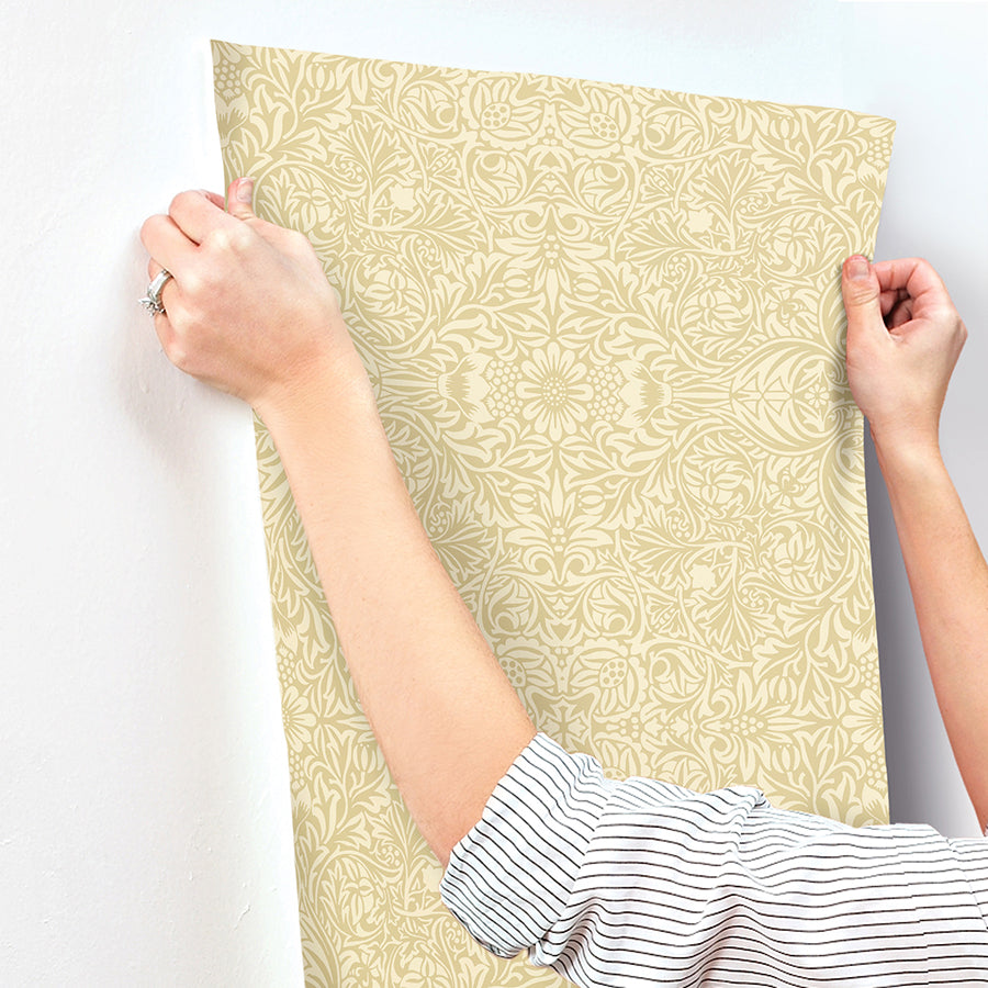 ceiling-yellow-intricate-floral-wallpaper-york-wallcoverings-4171-82070