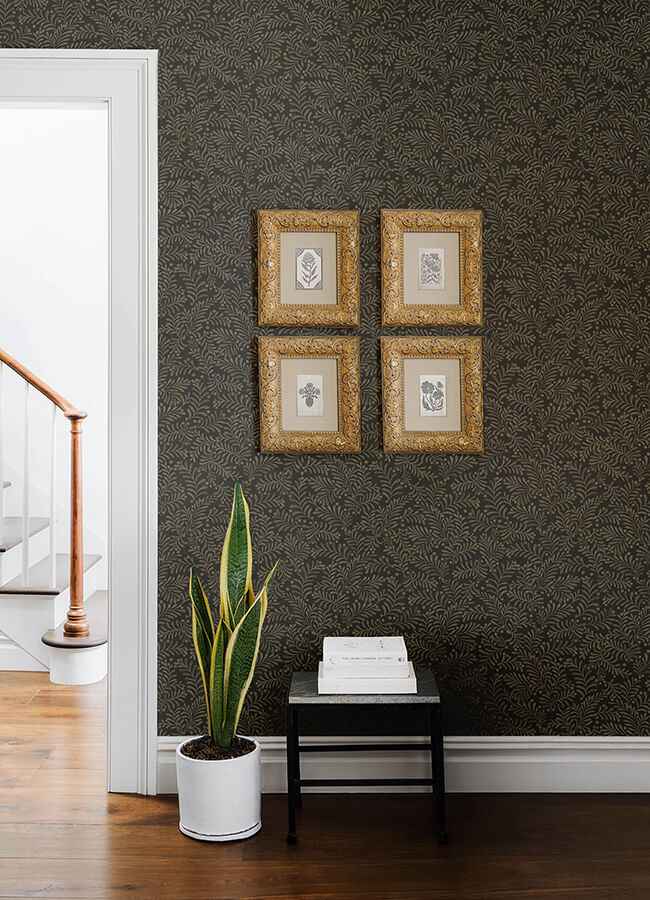 Chrysantha Black Berry Branches Wallpaper - York Wallcoverings - 4148-27442 - York Wallcoverings Wallpaper