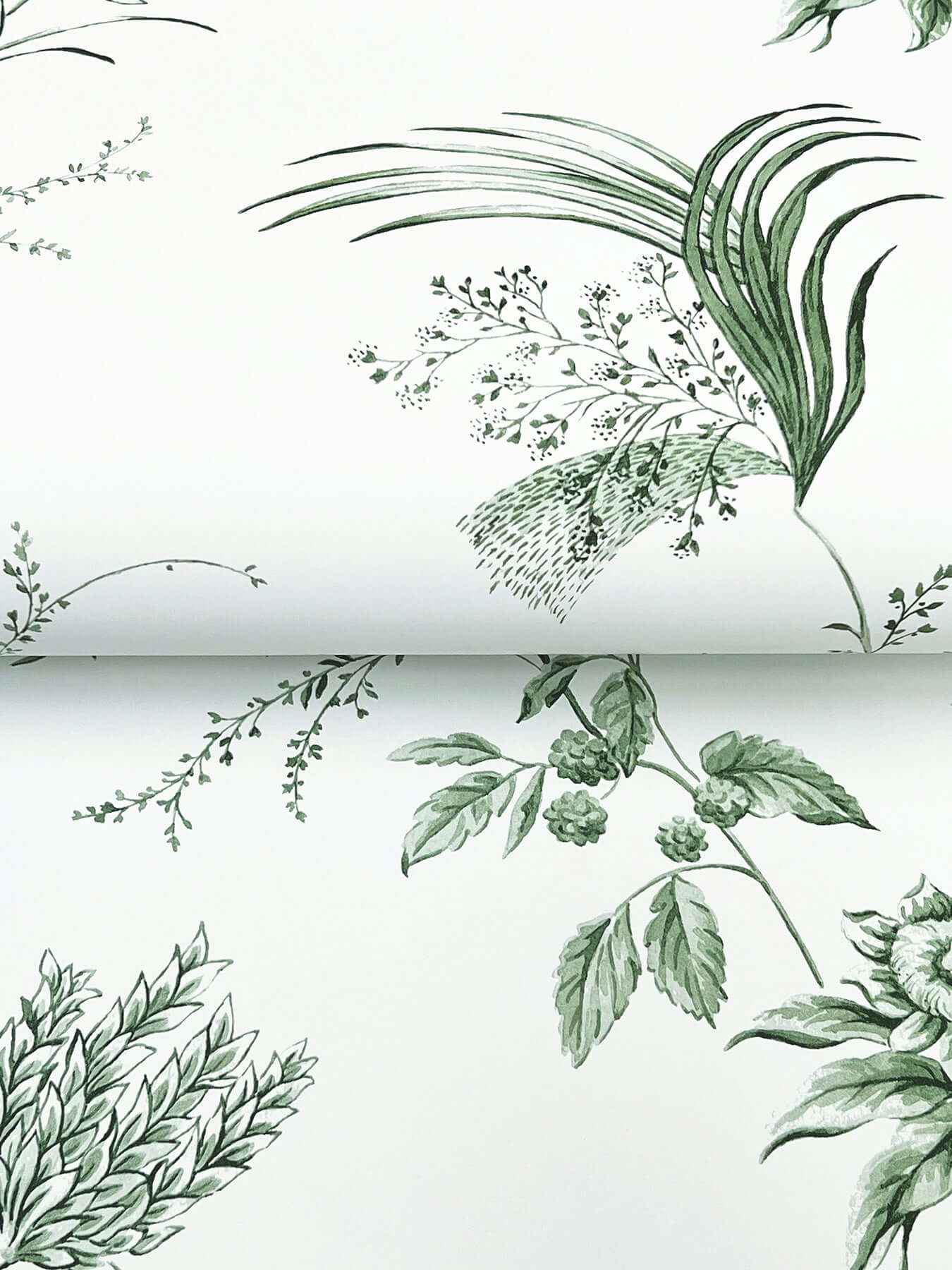 Floral Lace Green Wallpaper - York Wallcoverings - MX9680 - York Wallcoverings Wallpaper