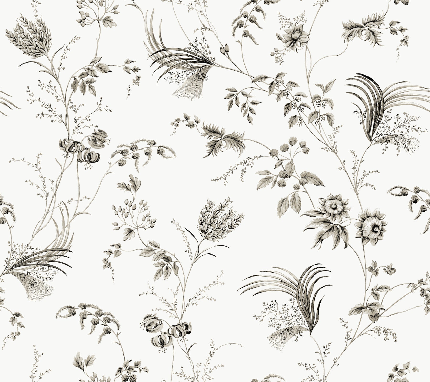 floral-lace-wallpaper-black-york-wallcoverings-mx9682