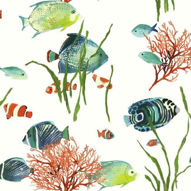 tropical-reef-multicolor-peel-stick-wallpaper-york-wallcoverings-psw1033rl - York Wallcoverings Wallpaper