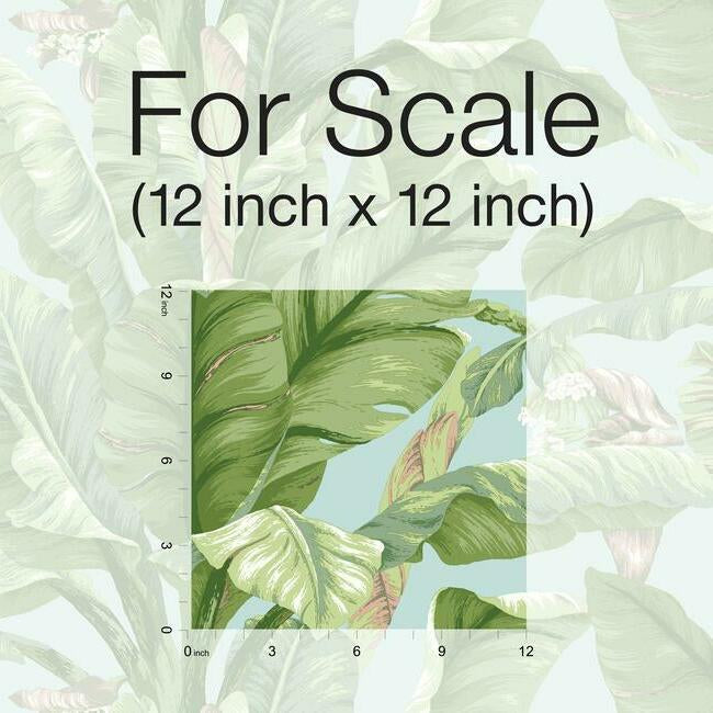banana-leaf-premium-peel-stick-wallpaper-blue-green-york-wallcoverings-psw1036rl