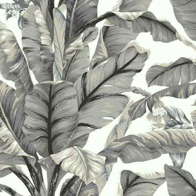 Banana Leaf White & Black Peel & Stick Wallpaper - York Wallcoverings - PSW1037RL
