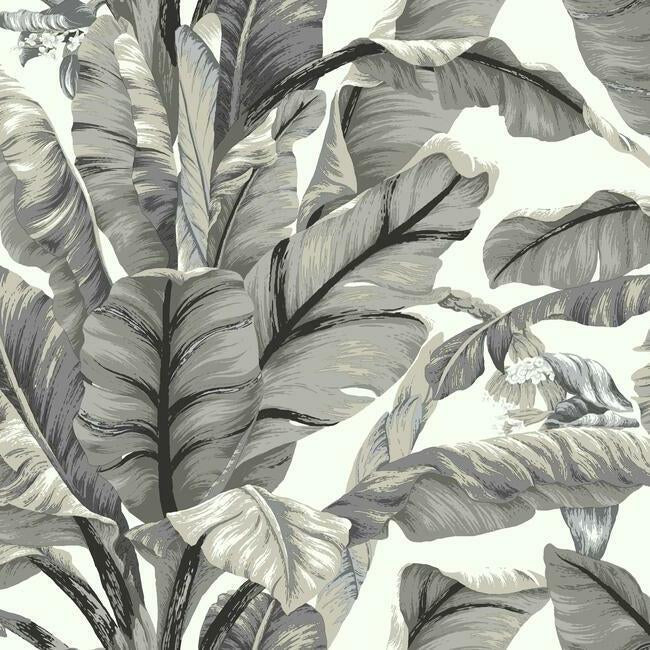 banana-leaf-premium-peel-stick-wallpaper-white-black-york-wallcoverings-psw1037rl