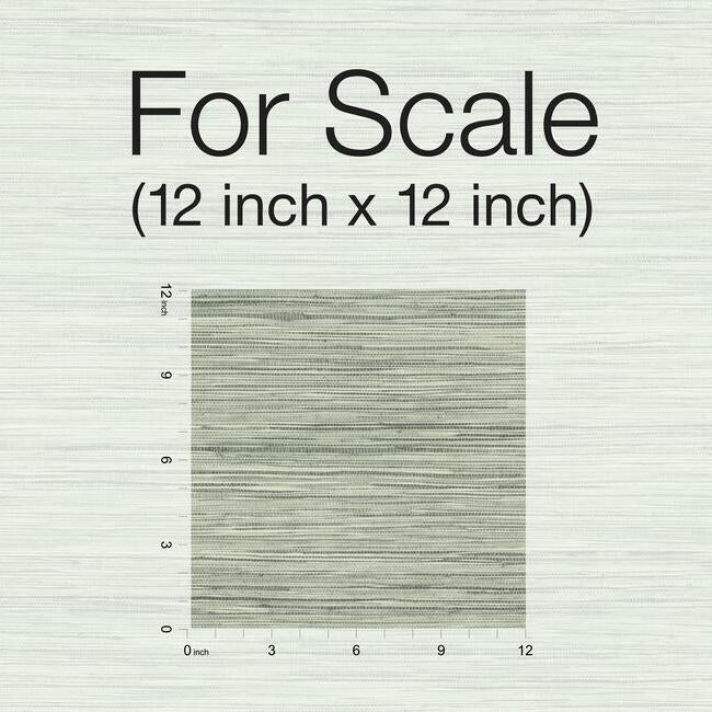 bahiagrass-premium-peel-stick-wallpaper-grey-york-wallcoverings-psw1138rl
