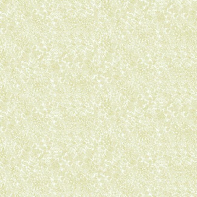 champagne-dots-wallpaper-gold-white-york-wallcoverings-ri5112