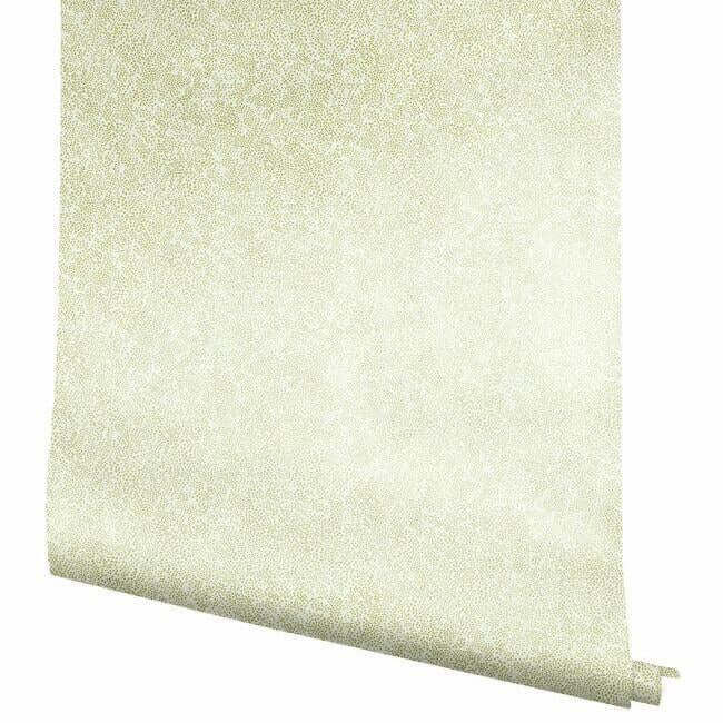 champagne-dots-wallpaper-gold-white-york-wallcoverings-ri5112 - York Wallcoverings Wallpaper