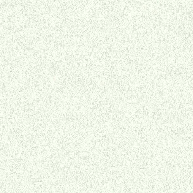 champagne-dots-wallpaper-linen-white-york-wallcoverings-ri5115