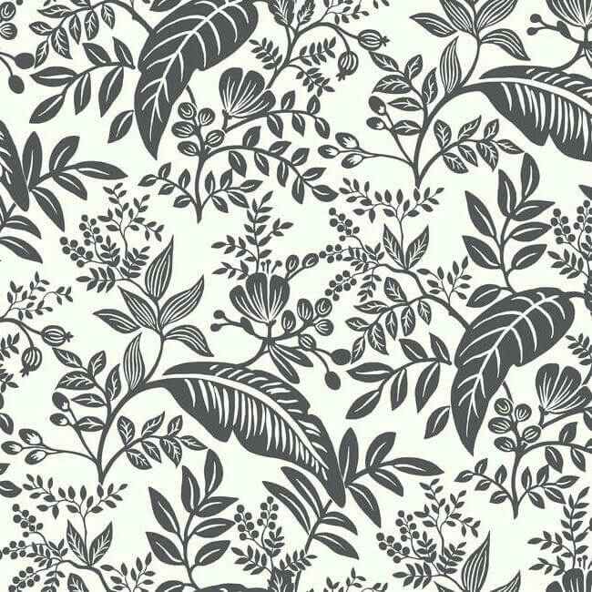 Canopy Black & White Wallpaper - York Wallcoverings - RI5136 - York Wallcoverings Wallpaper