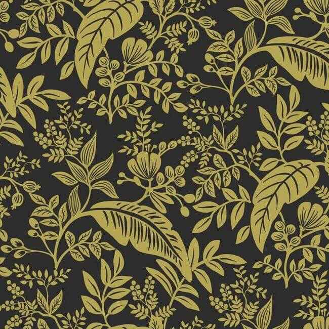 Canopy Gold & Black Wallpaper - York Wallcoverings - RI5139 - York Wallcoverings Wallpaper