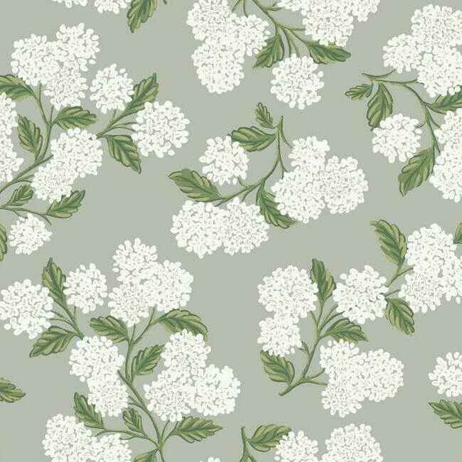 Hydrangea Grey Wallpaper - York Wallcoverings - RI5144