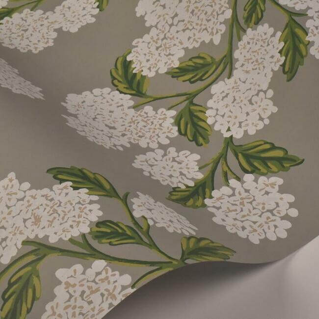 hydrangea-wallpaper-grey-york-wallcoverings-ri5144 - York Wallcoverings Wallpaper