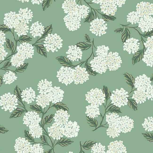 Hydrangea Jade Wallpaper - York Wallcoverings - RI5145 - York Wallcoverings Wallpaper