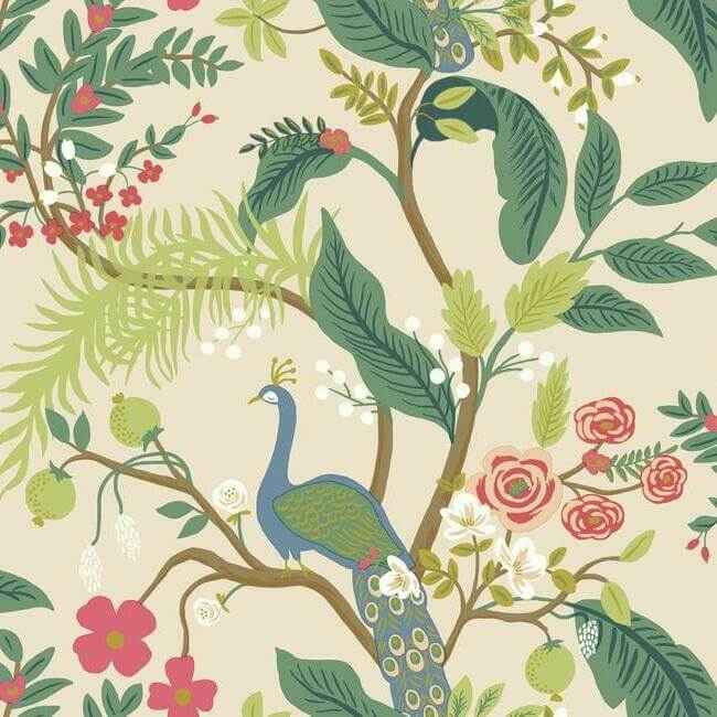 Peacock Light Pink Wallpaper - York Wallcoverings - RI5169 - York Wallcoverings Wallpaper