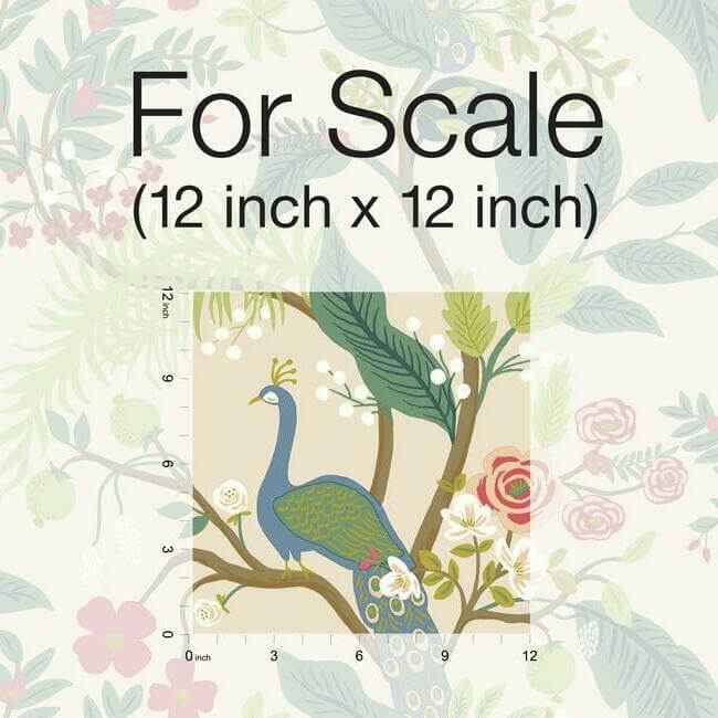 Peacock Light Pink Wallpaper - York Wallcoverings - RI5169 - York Wallcoverings Wallpaper