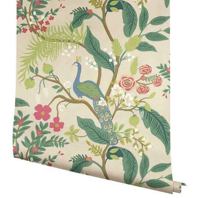 Peacock Light Pink Wallpaper - York Wallcoverings - RI5169 - York Wallcoverings Wallpaper