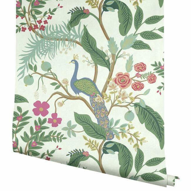 peacock-wallpaper-rouge-york-wallcoverings-ri5174