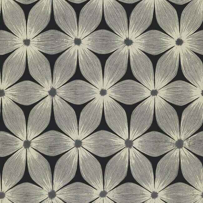Everlasting Black & Silver Wallpaper - York Wallcoverings - CI2305