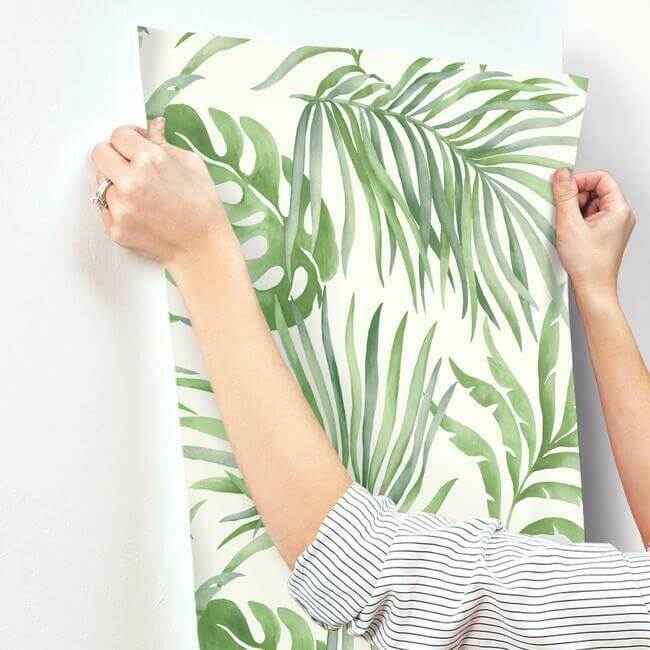 Paradise Palm Green Wallpaper - York Wallcoverings - SO2450 - York Wallcoverings Wallpaper