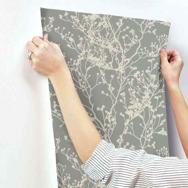 Budding Branch Silhouette Brown Wallpaper - York Wallcoverings - HC7518 - York Wallcoverings Wallpaper