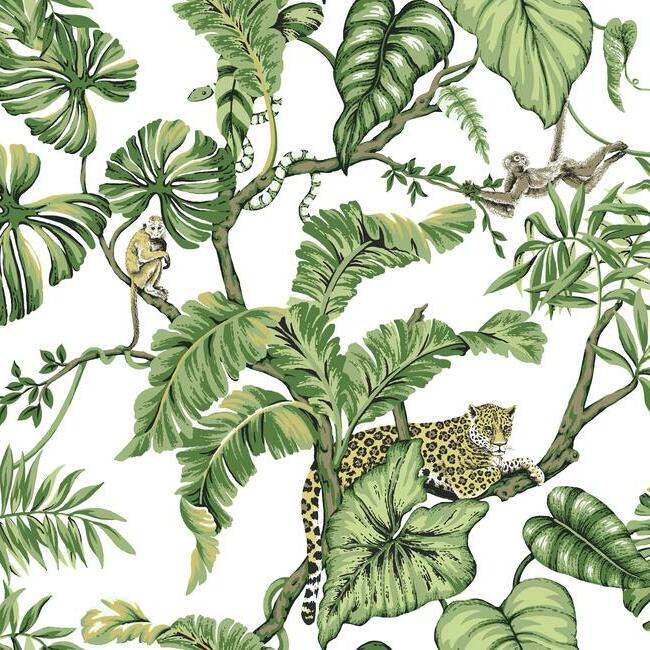 jungle-cat-wallpaper-white-york-wallcoverings-ho2145