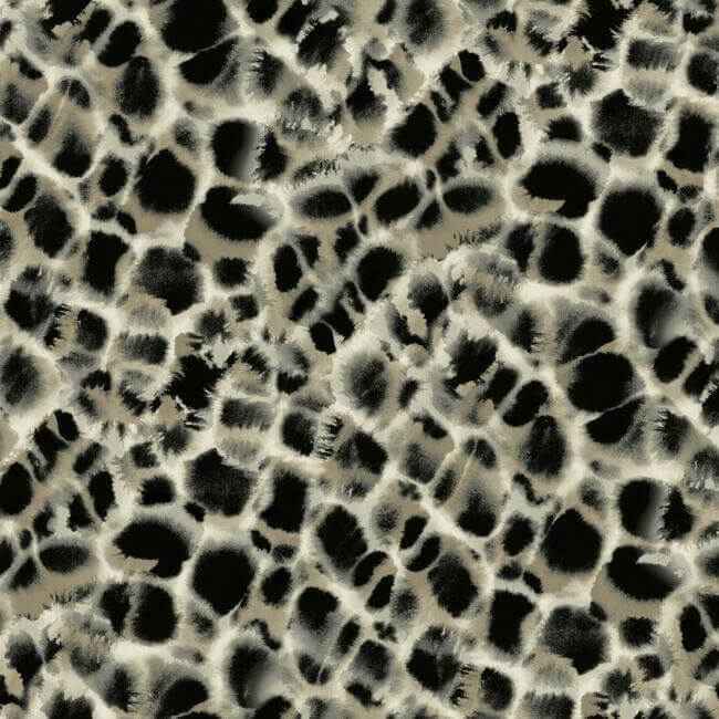 Leopard Rosettes Black Wallpaper - York Wallcoverings - HO2162