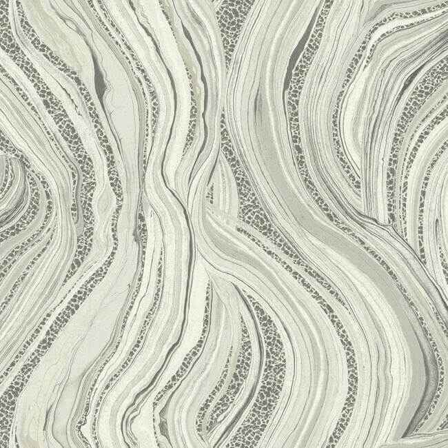 Streaming Cheetah Grey Wallpaper - York Wallcoverings - HO2172 - York Wallcoverings Wallpaper