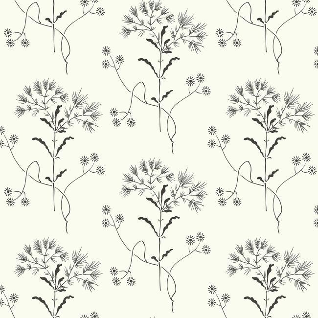 wildflower-wallpaper-black-on-white-york-wallcoverings-me1515