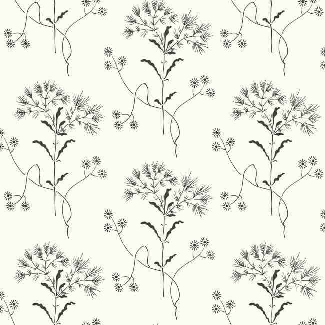 Wildflower Black & White Wallpaper - York Wallcoverings - ME1515