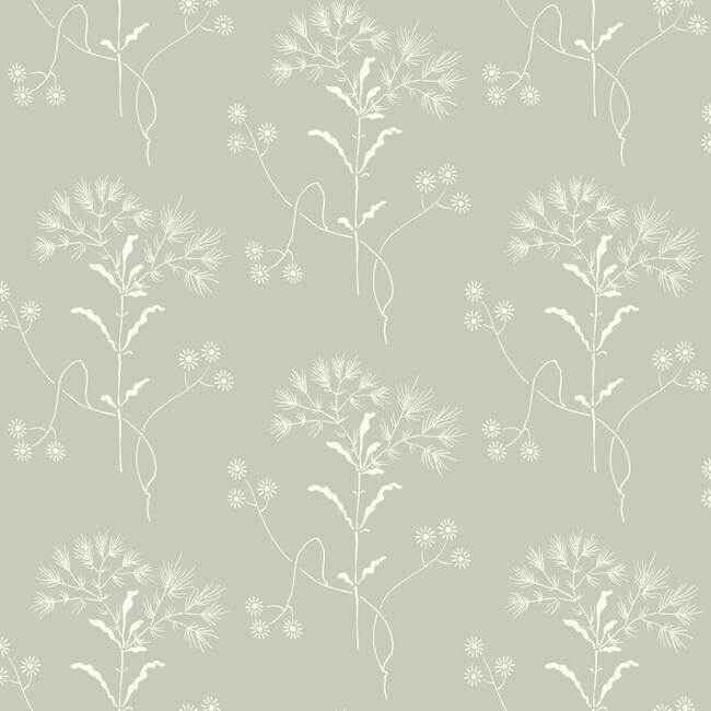Cupola Wildflower Light Grey & White Wallpaper - York Wallcoverings - ME1516 - York Wallcoverings Wallpaper