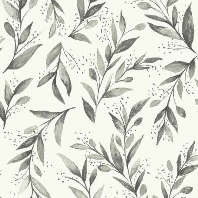 Olive Branch Charcoal Wallpaper - York Wallcoverings - ME1537 - York Wallcoverings Wallpaper