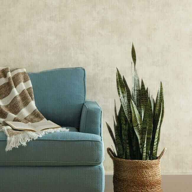 Plaster Finish Grey Wallpaper - York Wallcoverings - ME1547 - York Wallcoverings Wallpaper