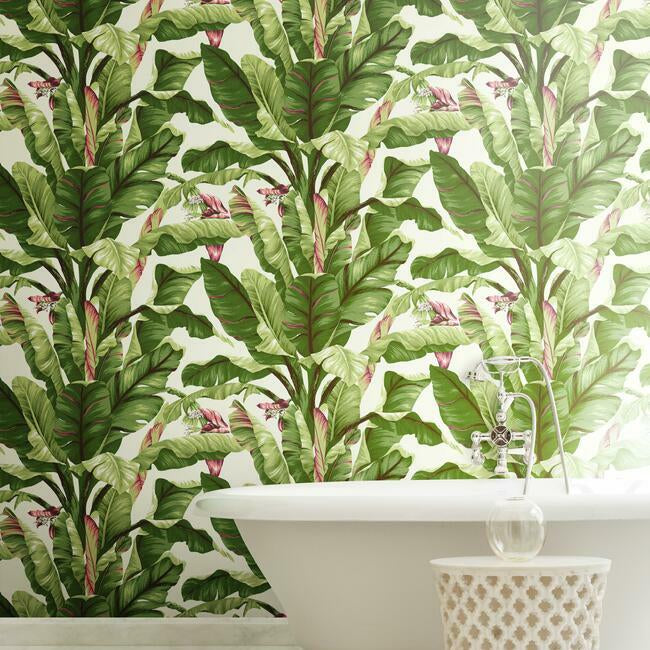 banana-leaf-wallpaper-pearl-brights-york-wallcoverings-at7067