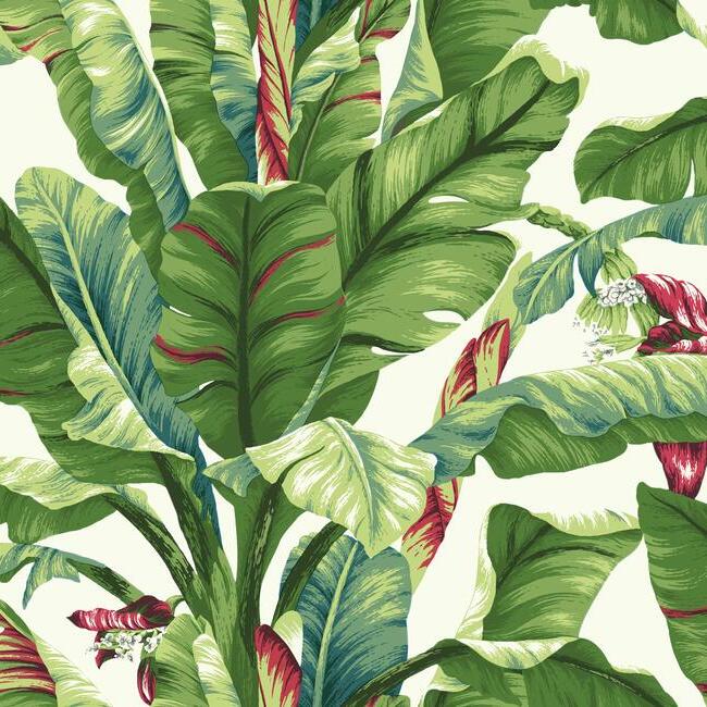 banana-leaf-wallpaper-white-primary-york-wallcoverings-at7068