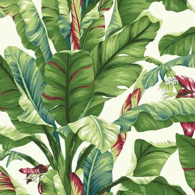 Banana Leaf Aqua & Red Wallpaper - York Wallcoverings - AT7068 - York Wallcoverings Wallpaper