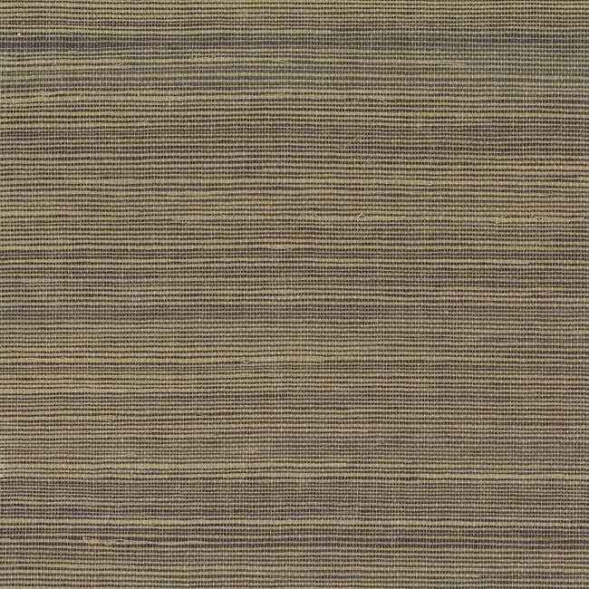 Multi Grass Brown Wallpaper - York Wallcoverings - VG4408 - York Wallcoverings Wallpaper