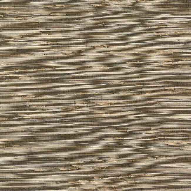 River Grass Black Wallpaper - York Wallcoverings - NZ0786