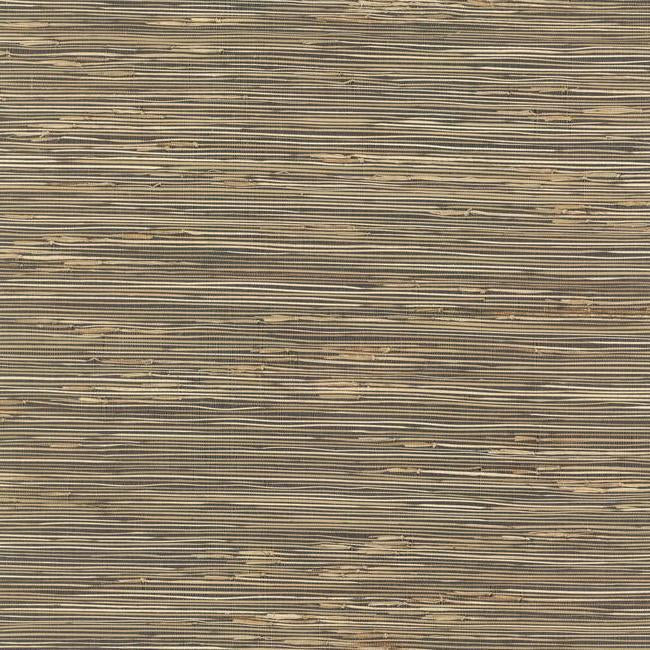 river-grass-wallpaper-black-beige-york-wallcoverings-nz0786
