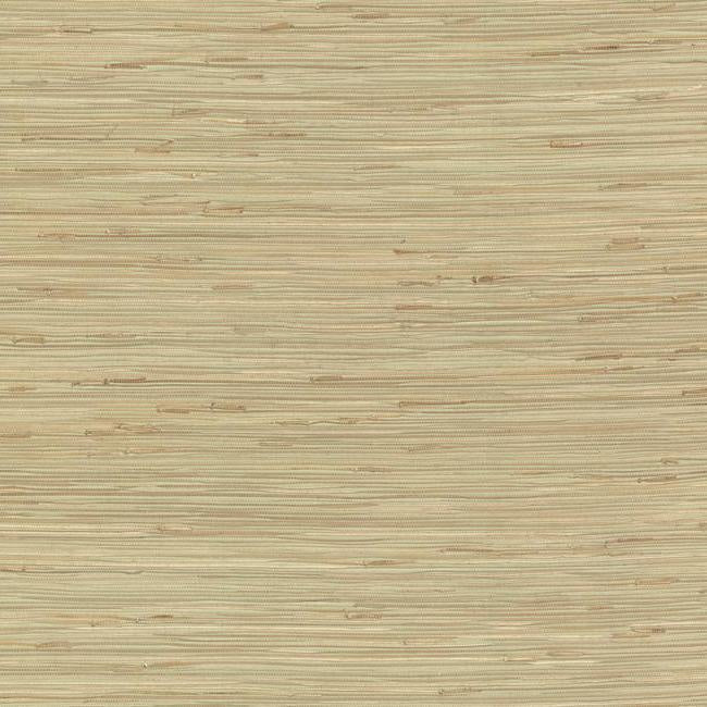 river-grass-wallpaper-spa-green-beige-york-wallcoverings-nz0780